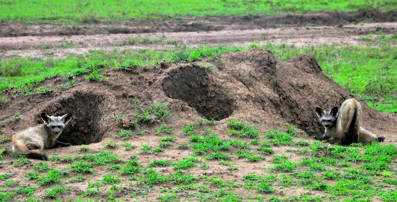 Melanie Heinrich Travel Images Africa